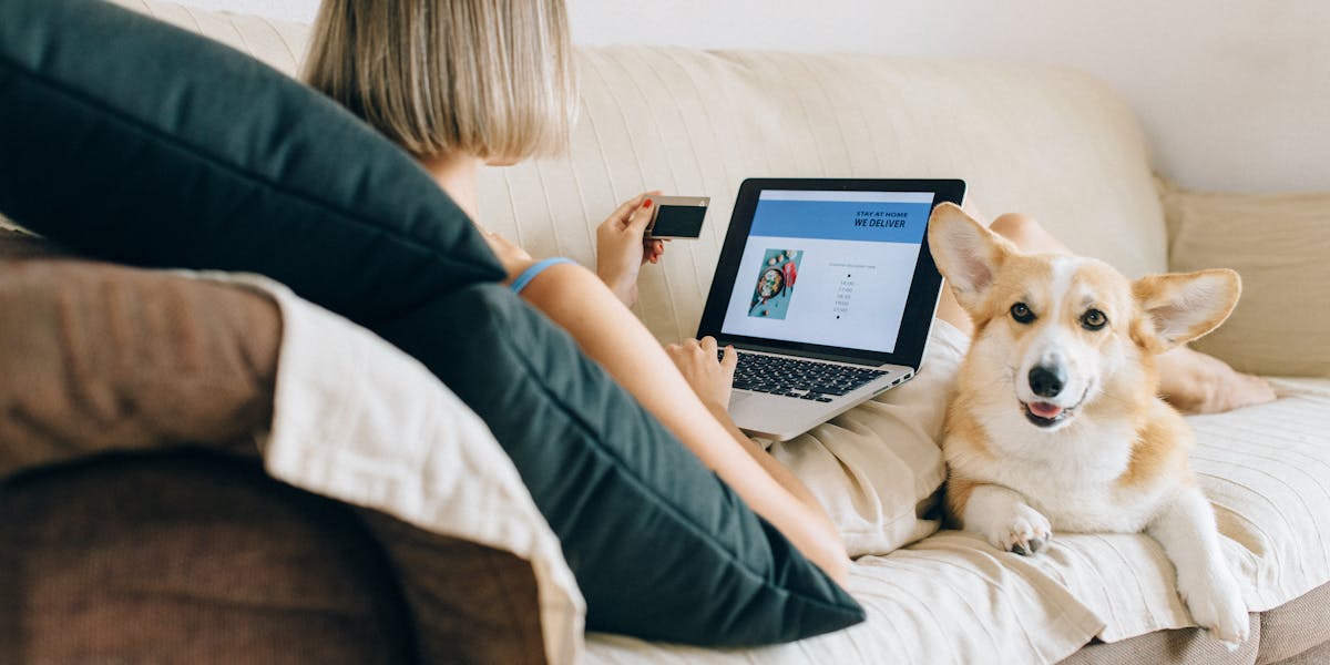 temas ecommerce pet shop